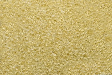 sünger doku ve arka plan