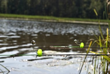 balıkçı ve ziller çubuklar ipuçları besleyici yöntemi