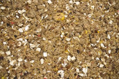 besleme yöntemi balık Balık beslemek için kullanılan groundbait