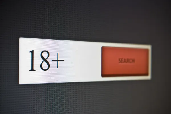 Internet search bar met zin 18 — Stockfoto