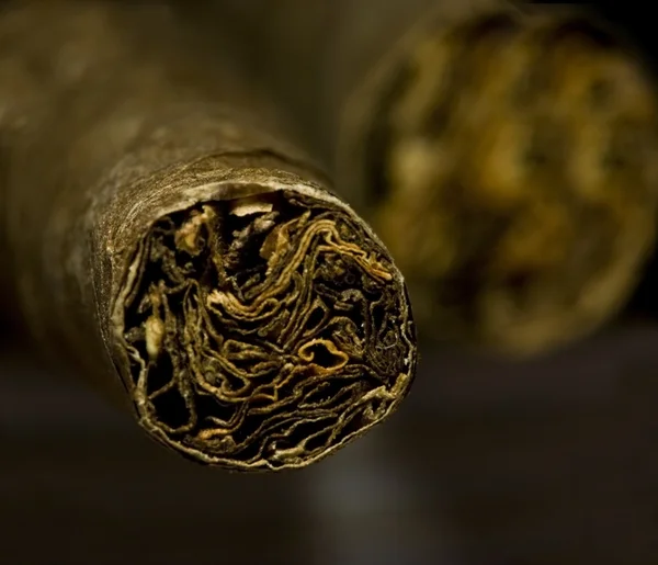 Makro brun torr cigaretter eller cigarill som missbruk begrepp — Stockfoto