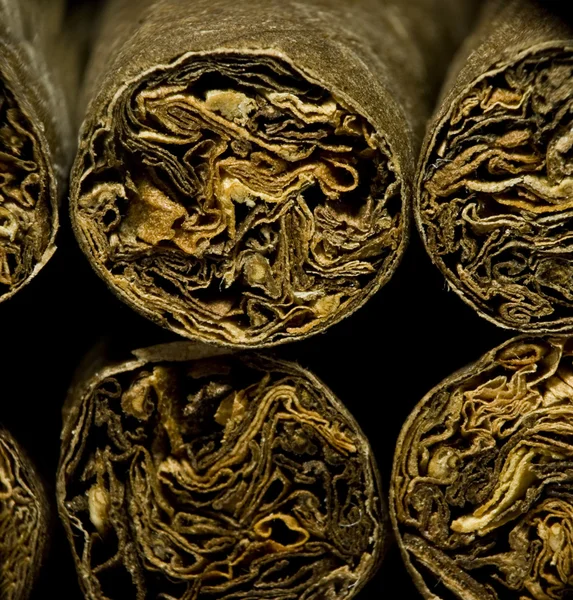 Macro de cigarrillos secos marrones o cigarillo como concepto de adicción —  Fotos de Stock