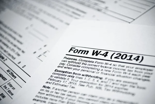 Formulários do imposto sobre o rendimento em branco — Fotografia de Stock