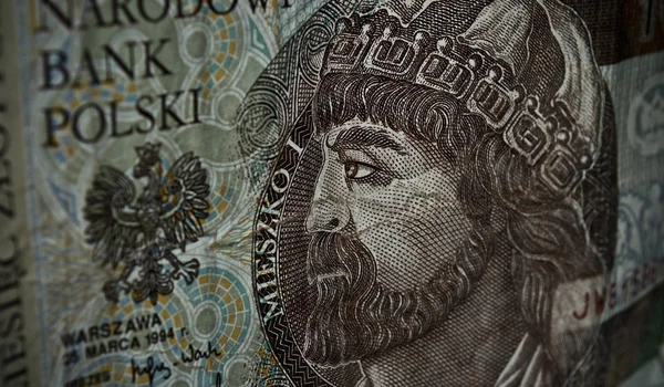 Polish paper money or banknotes — Stock Photo, Image