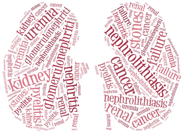 kelime bulutu illüstrasyon böbrek hastalıkları ile ilgili