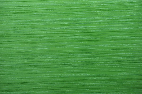 Grön bakgrund Royaltyfria Stockbilder