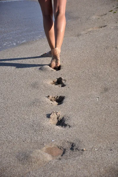 Footprints in the sand — Stock Photo, Image