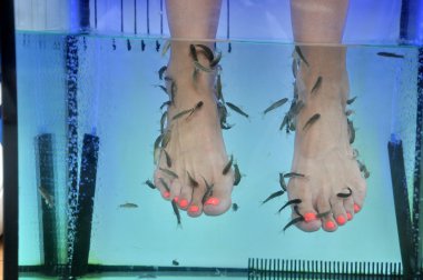 Balık balık rufa garra pedikür spa