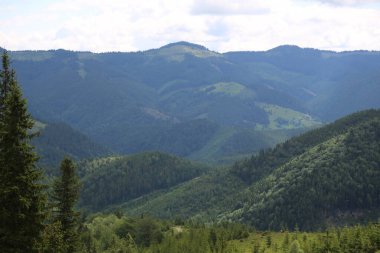 Dağlık tepeleri, sıradağları, ağaçlık yamaçları olan Karpatlar manzarası