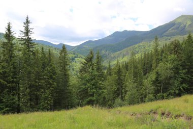 Dağlık tepeleri, sıradağları, ağaçlık yamaçları olan Karpatlar manzarası
