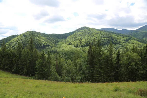 Carpathian landscape with mountain peaks, mountain ranges, wooded slopes
