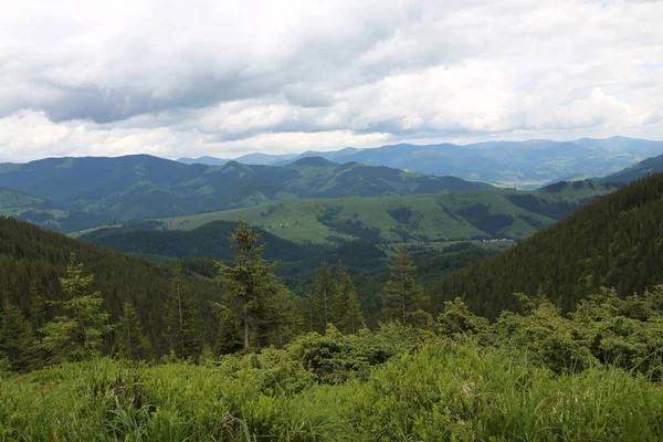 Karpatenlandschaft Mit Berggipfeln Gebirgsketten Bewaldeten Hängen — Stockfoto