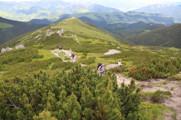 Carpathian landscape with mountain peaks, mountain ranges, wooded slopes