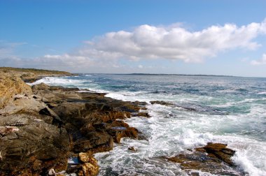 Kunduz kuyruk, rhode Island