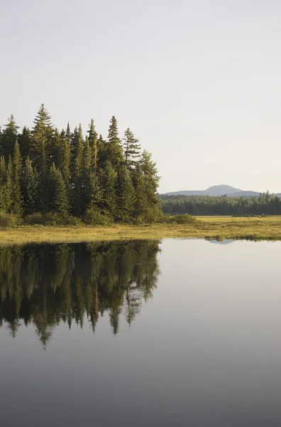 Shirley bataklık, maine