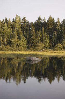 Shirley bataklık, maine