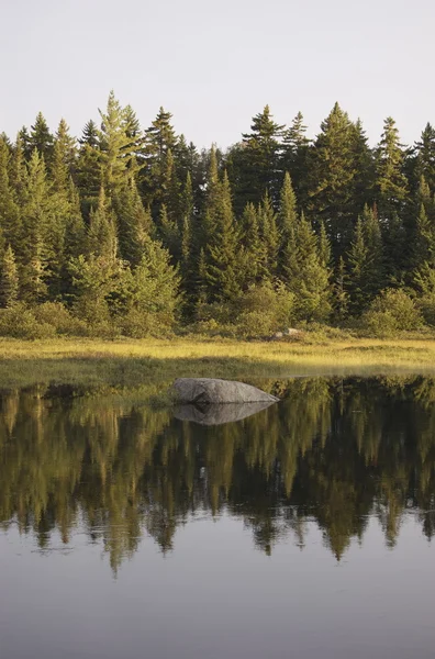 Shirley bataklık, maine