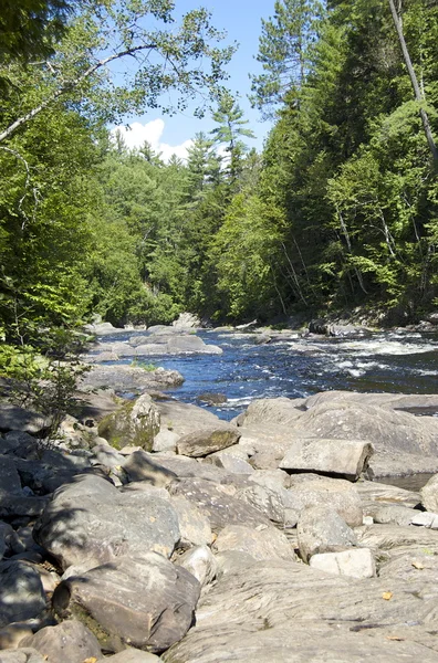 Maine Nehri