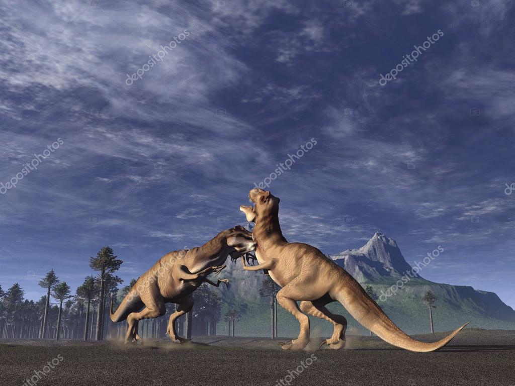 two t rex fighting