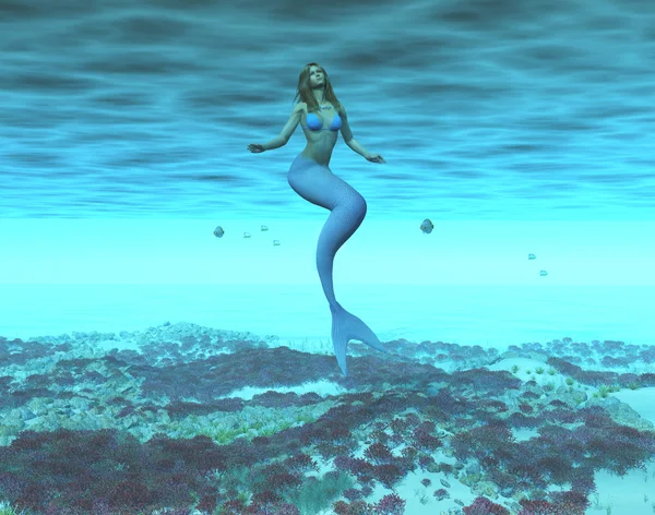 Deniz kızı — Stok fotoğraf