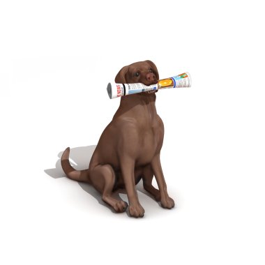 Gazete getiren köpek