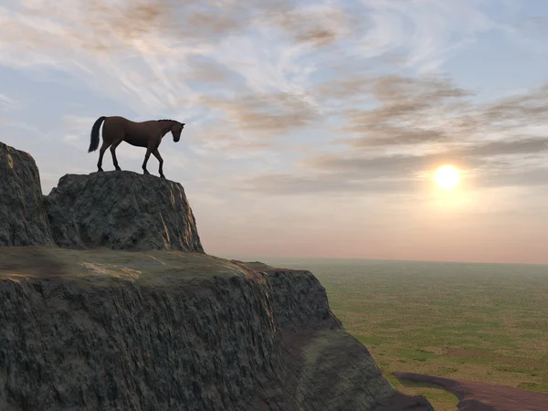 Paard op de rand van een klif — Stockfoto