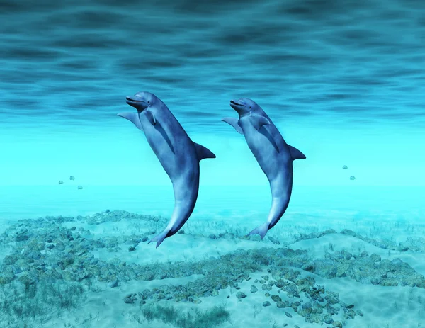 Dancing dolphins — Stock Photo, Image