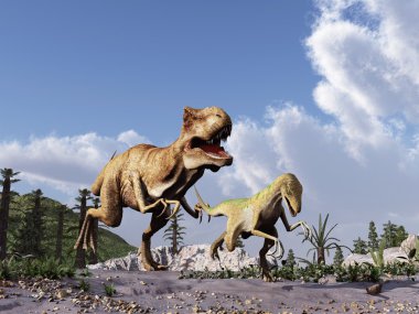 Tyrannosaurus rex bir velociraptor peşinde
