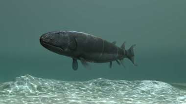 Bir eusthenopteron 'un 3d illüstrasyonu