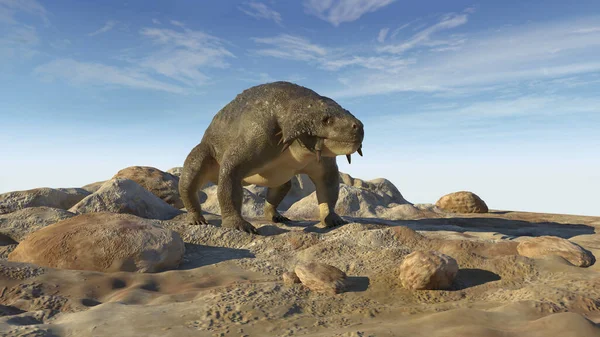 Scutosauro Terreno Roccioso — Foto Stock