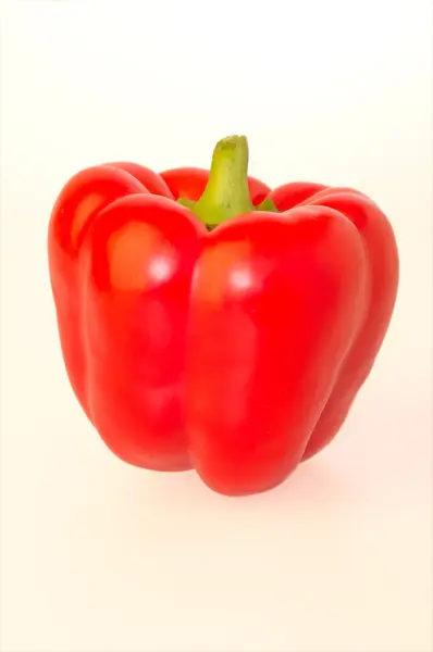 Red pepper isolated on white background — Stock Photo, Image