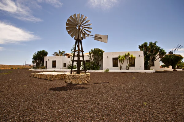 Bella vecchia torre dell'acqua mulino a vento sul giardino — Foto Stock