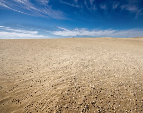 Woestijnlandschap — Stockfoto