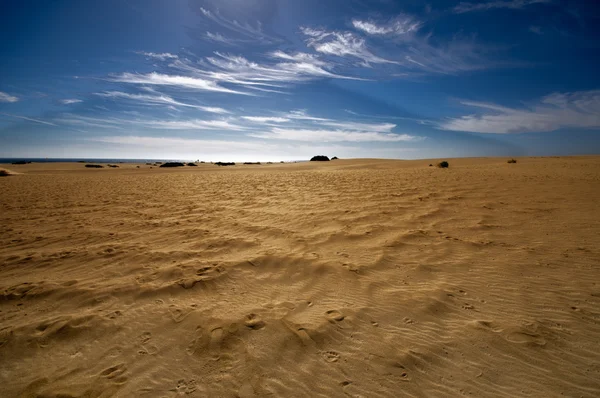 Woestijnlandschap — Stockfoto