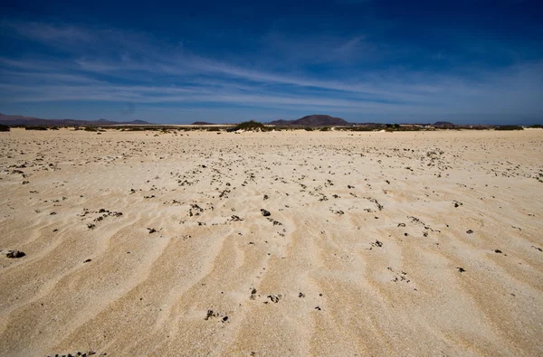 Пустельний ландшафт Ліцензійні Стокові Зображення