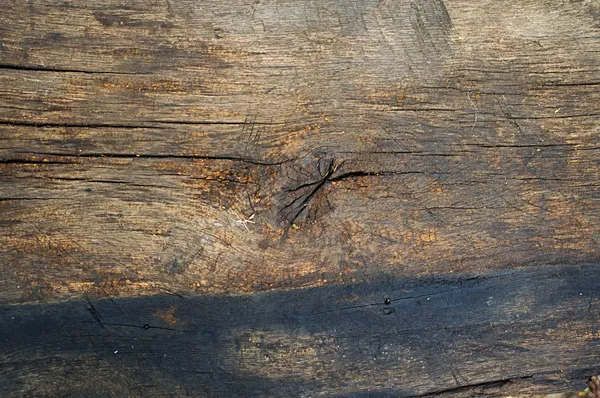 Tableros de madera viejos — Foto de Stock