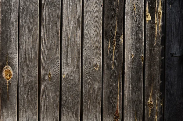 Wood texture — Stock Photo, Image