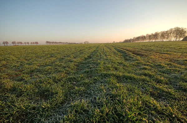 Empty fields — Stock Photo, Image