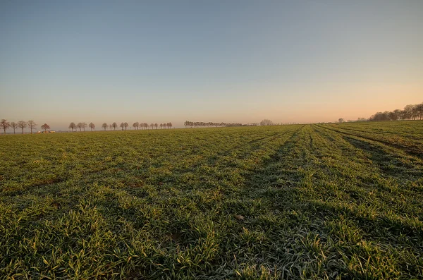 Empty fields — Stock Photo, Image