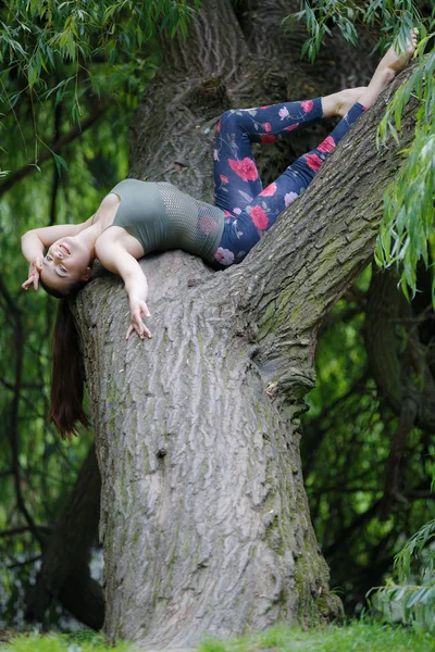 Schöne Frau, die sich auf einem Baum ausruht — Stockfoto
