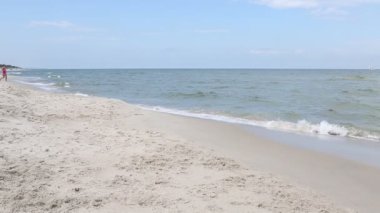 güzel bir kadın ile köpek plajda çalışan