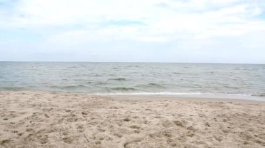 Sahilde köpeğini çalışan kadın