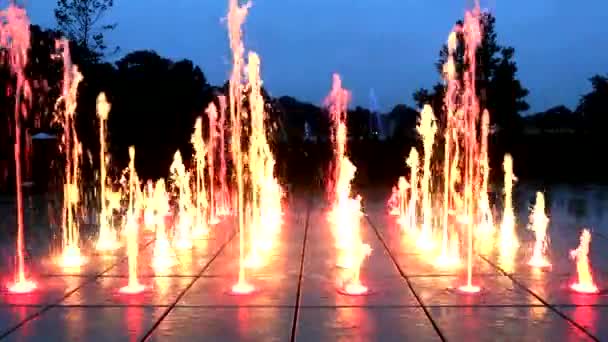 Svítící fontána v noci — Stock video