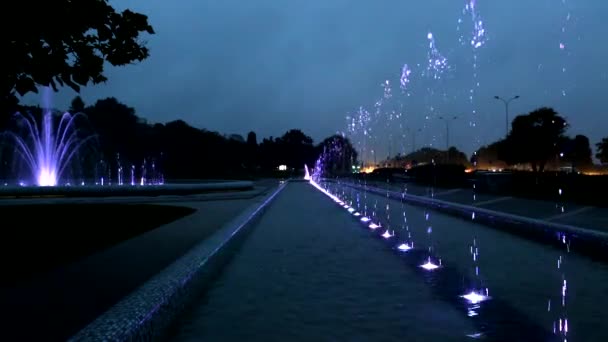 夜に照らされた噴水 — ストック動画