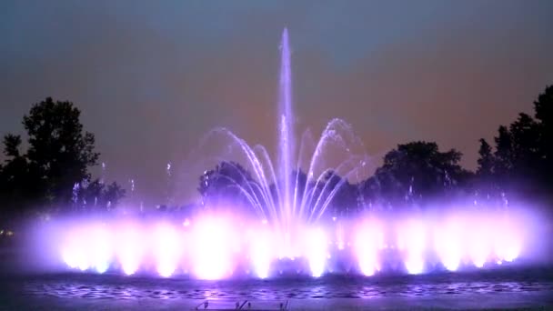 La fontaine illuminée la nuit — Video