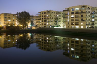 ayna görüntü mimarisi