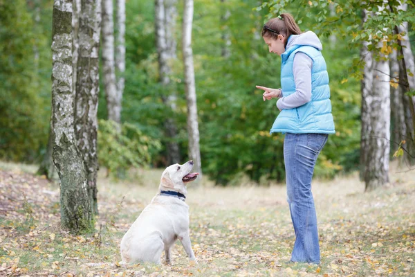 Hermosa mujer entrenando perro raza labrador retriever — Foto de Stock