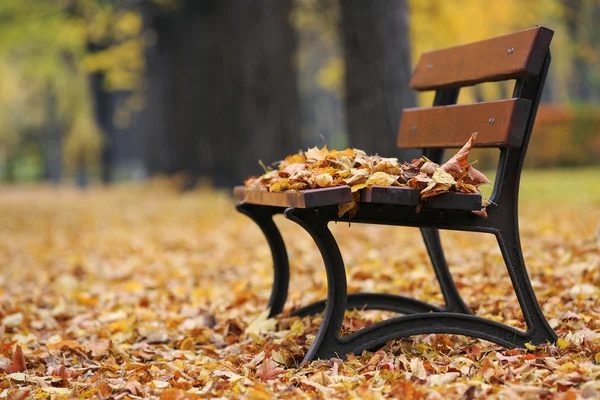 Ławka w jesiennym parku — Zdjęcie stockowe