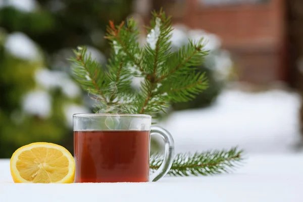 Hot tea in the winter — Stock Photo, Image