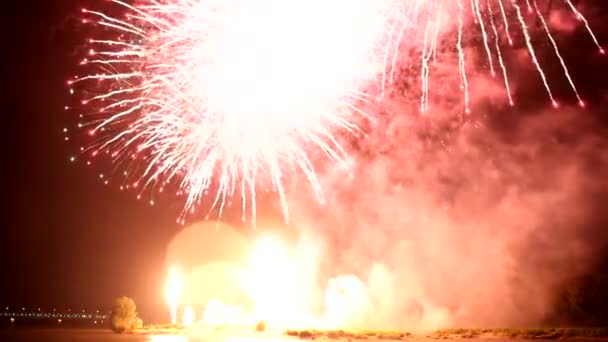 Vuurwerk 's nachts — Stockvideo